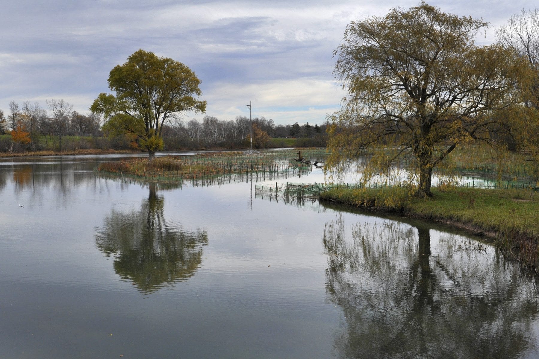 NYPA's Little Beaver Island marsh